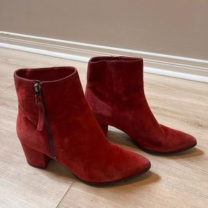 Reds is the colour for ‘24 it’s being predicted